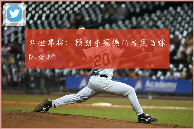年世界杯:预测夺冠热门与黑马球队分析