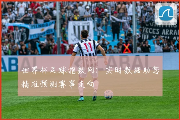 世界杯足球指数网：实时数据助您精准预测赛事走向